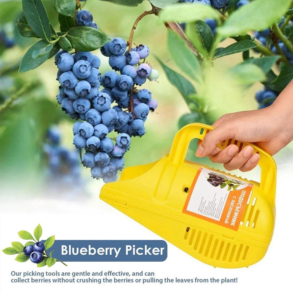 Gardening Tools You Must Have - Leicht zu handhabendes Blaubeerenpflückwerkzeug mit Kammzähnen,