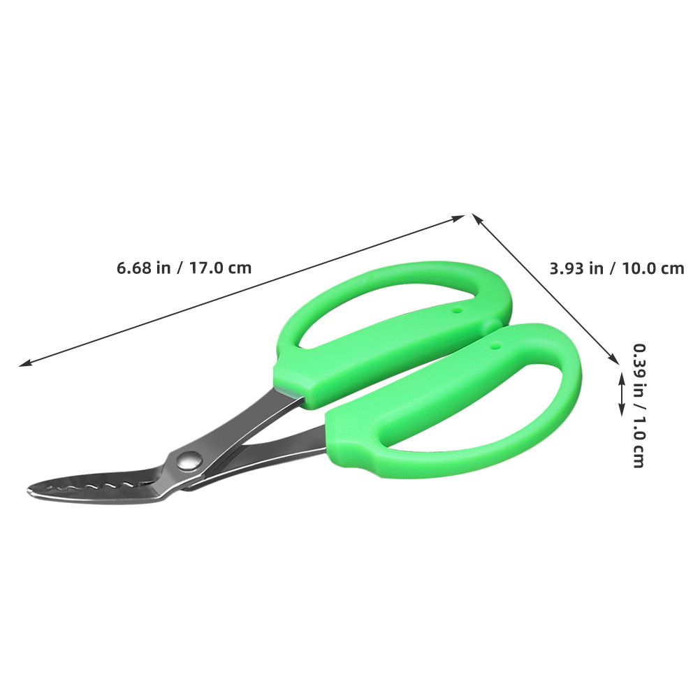 Unkrautschere mit Verbessertem – Gardening Tools To Remove Grass Bewertung und Preis