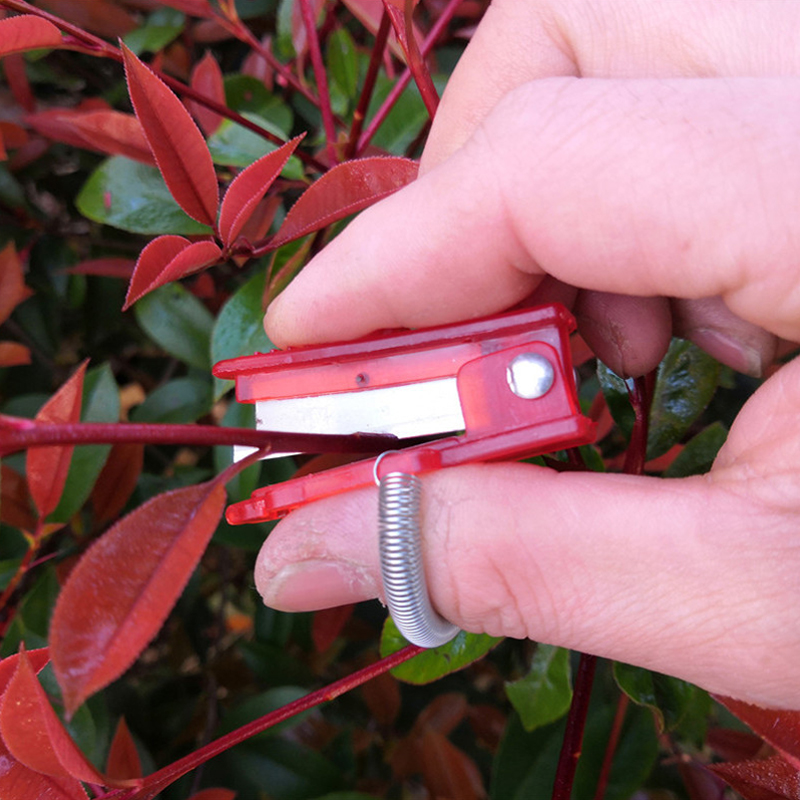 1/2/3 stücke Gemüse Schlag Mes – Harvest Knife Garden Bewertung und Preis