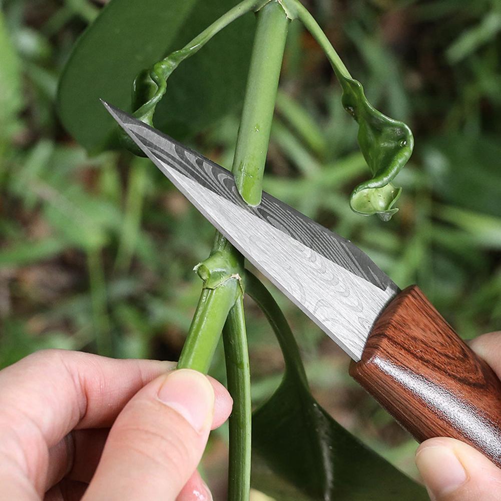 Veredelungsmesser Veredelungsw – Harvest Knife Garden Bewertung und Preis