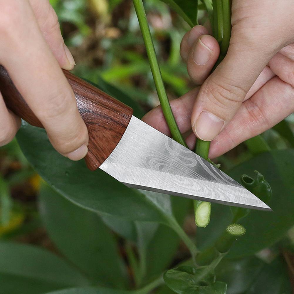 Veredelungsmesser Veredelungsw – Harvest Knife Garden Bewertung und Preis