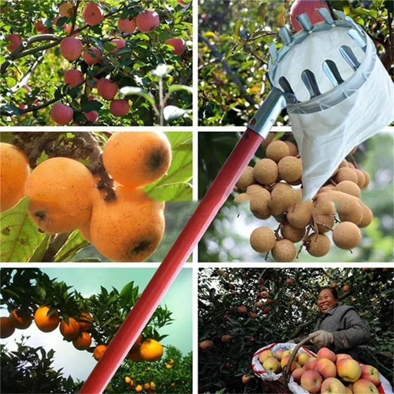 Obstpflücker für den Garten, T – Gardening Tools Scissors Bewertung und Preis