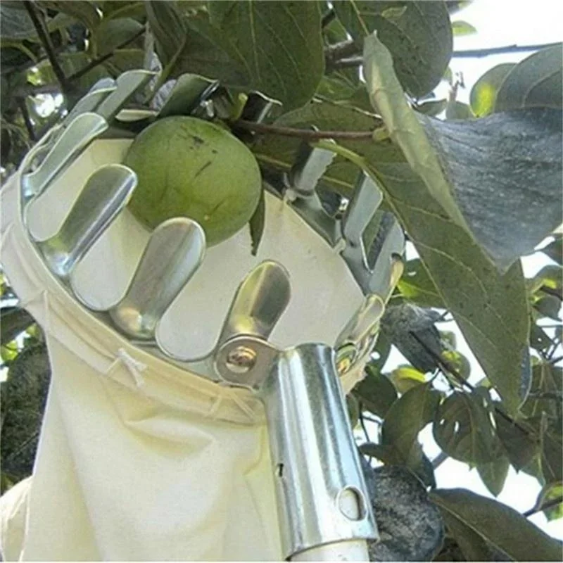 Obstpflücker für den Garten, T – Gardening Tools Scissors Bewertung und Preis