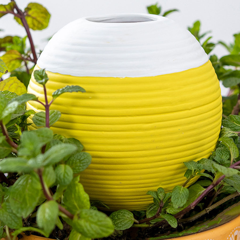 Automatisches Pflanzenbewässer – Gardening Tools You Must Have Bewertung und Preis