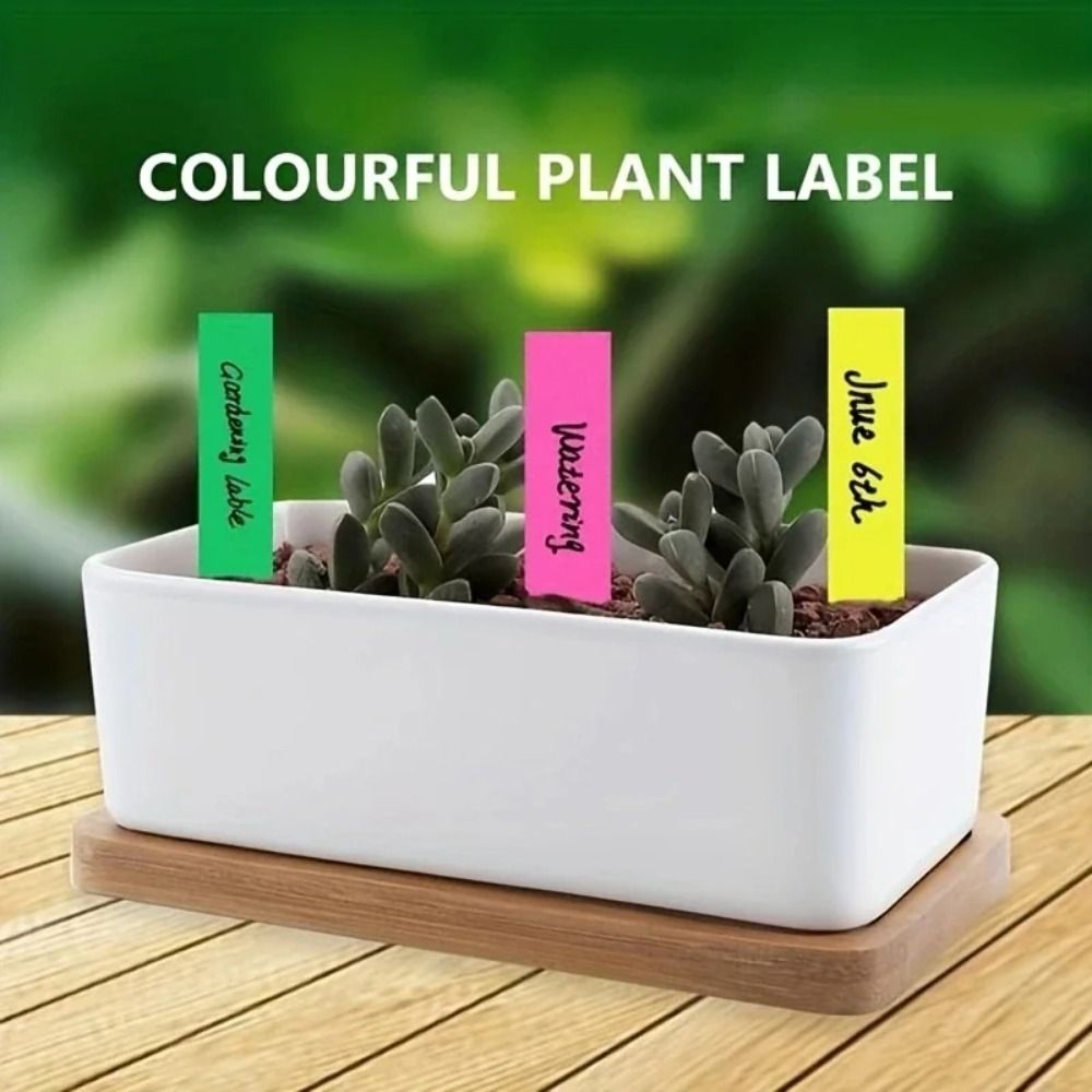 100 Stück Pflanzenetiketten au – Gardening Tools Labeled Bewertung und Preis