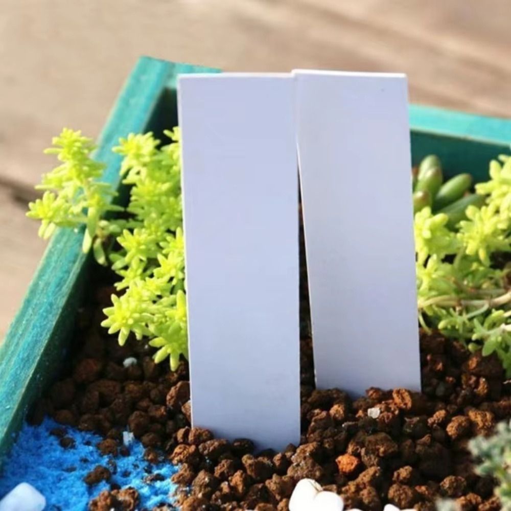 100 Stück Pflanzenetiketten au – Gardening Tools Labeled Bewertung und Preis