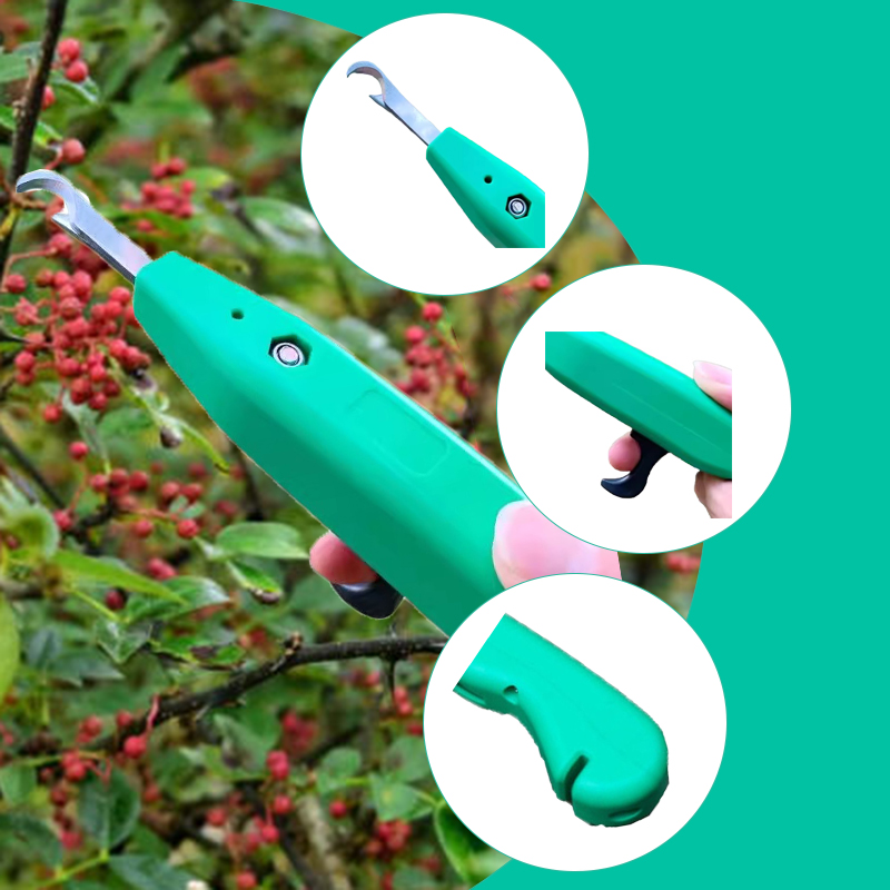Professioneller Pfefferpflücke – Gardening Tools Scissors Bewertung und Preis