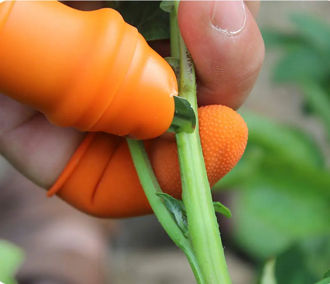 Garten-Silikon-Daumenschutz fü – Harvest Knife Garden Bewertung und Preis