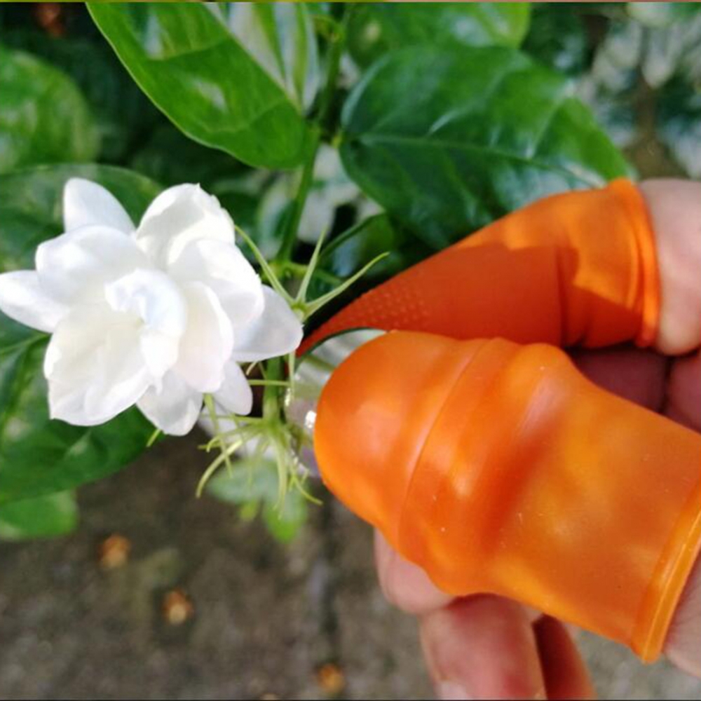 Garten-Silikon-Daumenmesser mi – Harvest Knife Garden Bewertung und Preis