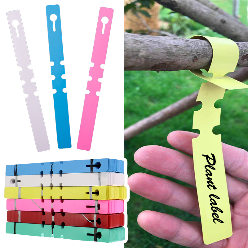 100 Stück wasserdichte Pflanze – Gardening Tools Labeled Bewertung und Preis