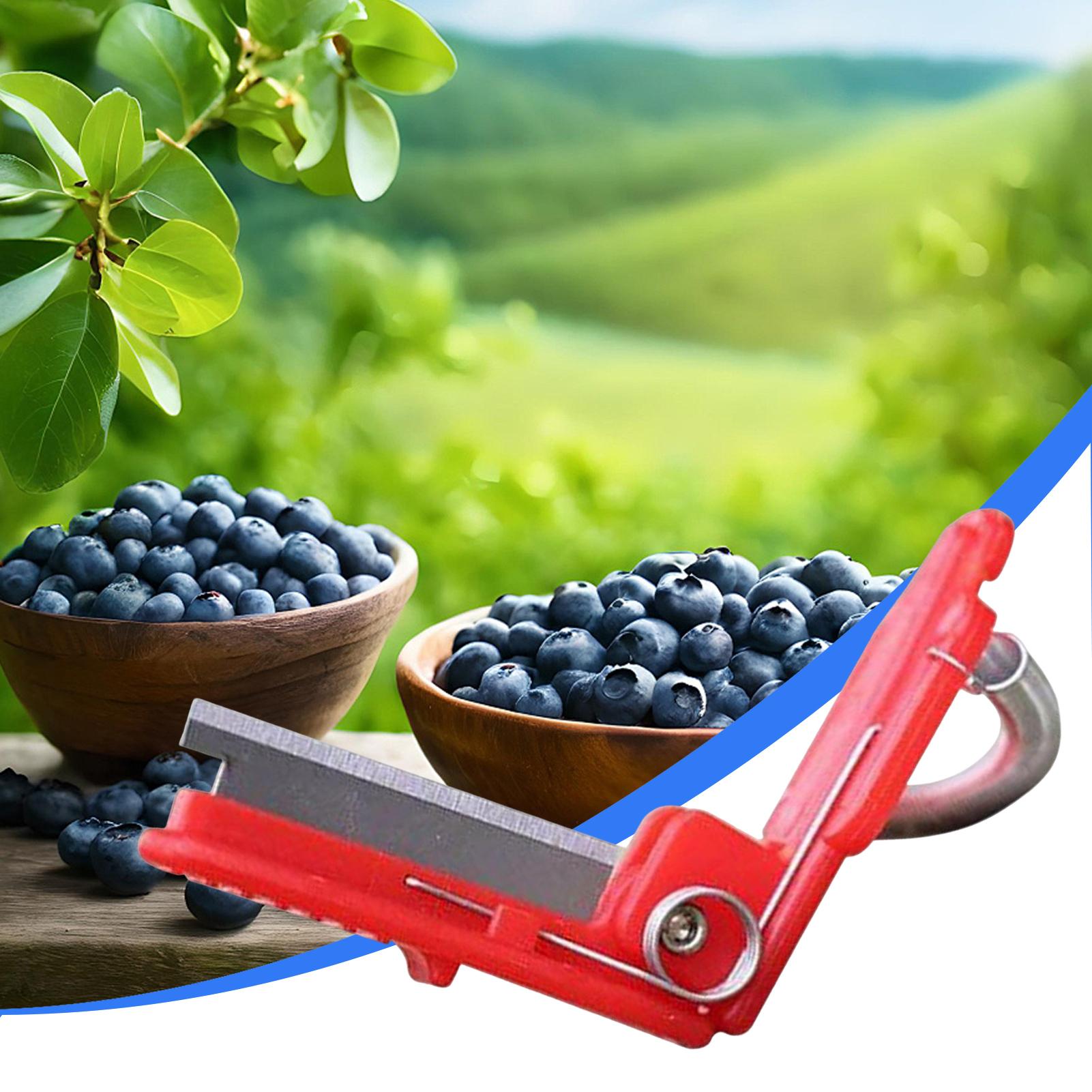 Multifunktions-Daumenmesser Ga – Harvest Knife Garden Bewertung und Preis