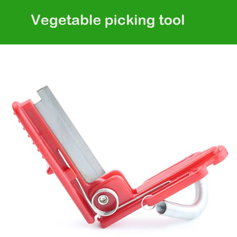 Messertrenner, Gemüse, Obst, E – Harvest Knife Garden Bewertung und Preis