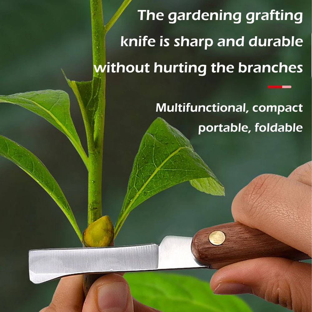 Pfropf werkzeuge faltbares Sch – Harvest Knife Garden Bewertung und Preis