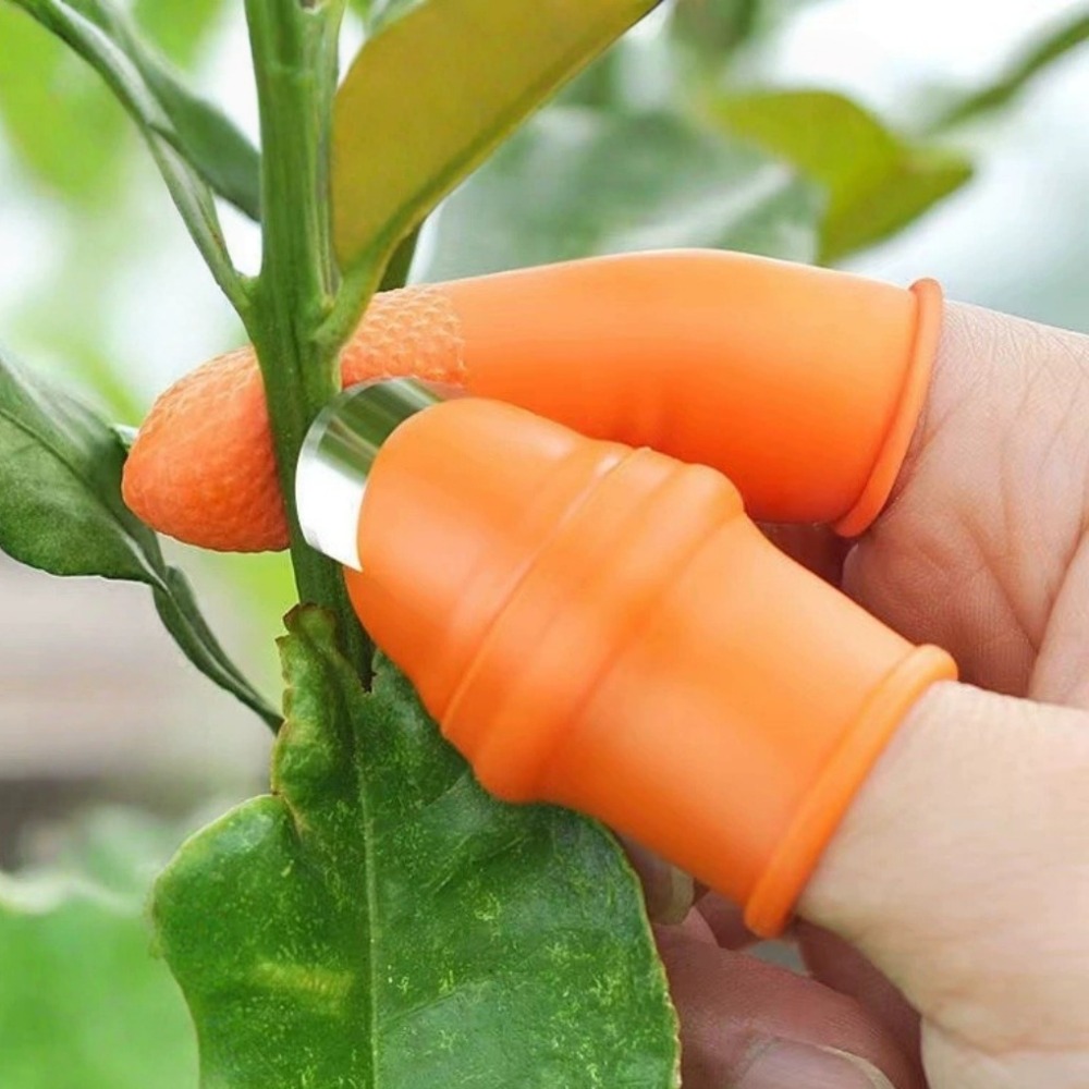 Gemüse-Erntemesser aus Edelsta – Harvest Knife Garden Bewertung und Preis